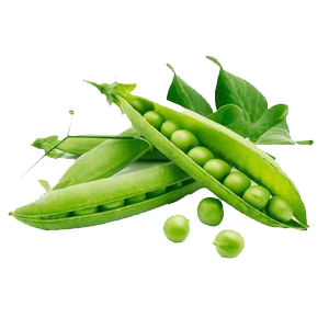Beans