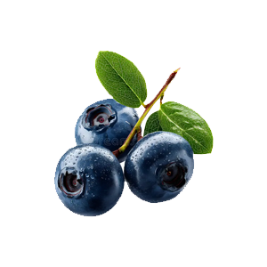 Blueberries