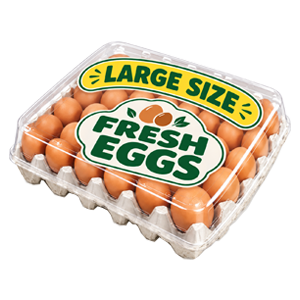 Eggs Large Size