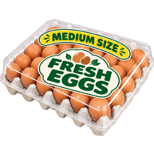 Eggs Medium Size
