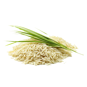 Jasmine Rice