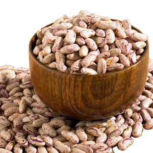 Light speckled Kidney bean
