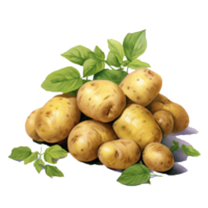 Potatoes