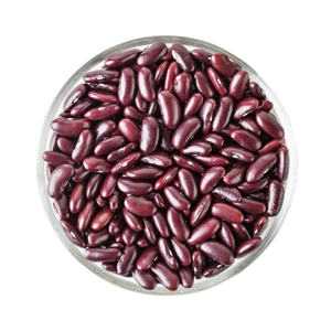 Purple Speckled Kidney Bean