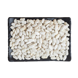 White Kidney Bean