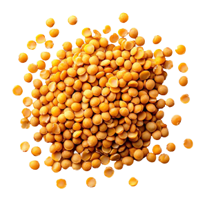 Yellow Peas
