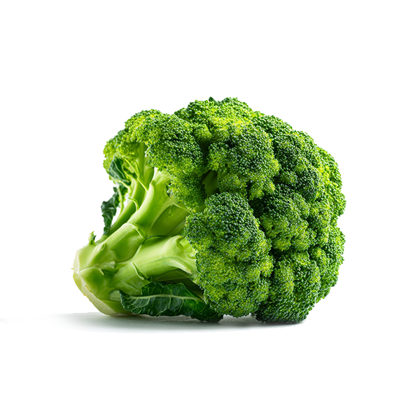 Broccoli